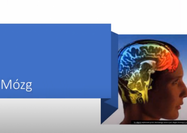 Mózg- prezentacja z okazji Tygodnia Mózgu